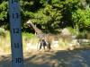 Album: Griffith Park