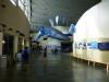 8003 - Long Beach Aquarium