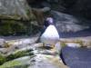 8004 - Long Beach Aquarium