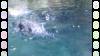8005 - Long Beach Aquarium