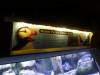 8007 - Long Beach Aquarium
