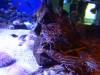 8010 - Long Beach Aquarium