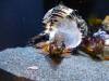 8012 - Long Beach Aquarium