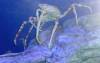 8016 - Long Beach Aquarium