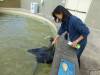8020 - Long Beach Aquarium
