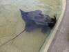8022 - Long Beach Aquarium