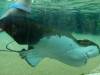 8023 - Long Beach Aquarium