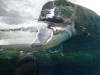 8025 - Long Beach Aquarium