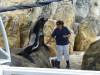 8027 - Long Beach Aquarium