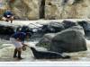 8028 - Long Beach Aquarium