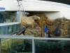 8029 - Long Beach Aquarium