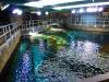 8038 - Long Beach Aquarium