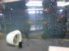 8041 - Long Beach Aquarium