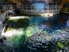 8048 - Long Beach Aquarium