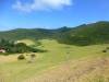 135 - Lord Howe Island