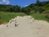 199 - Lord Howe Island