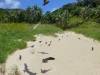 201 - Lord Howe Island