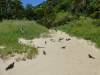 202 - Lord Howe Island