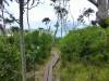 227 - Lord Howe Island