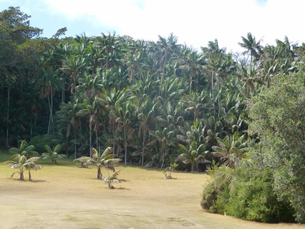 130 - Lord Howe Island