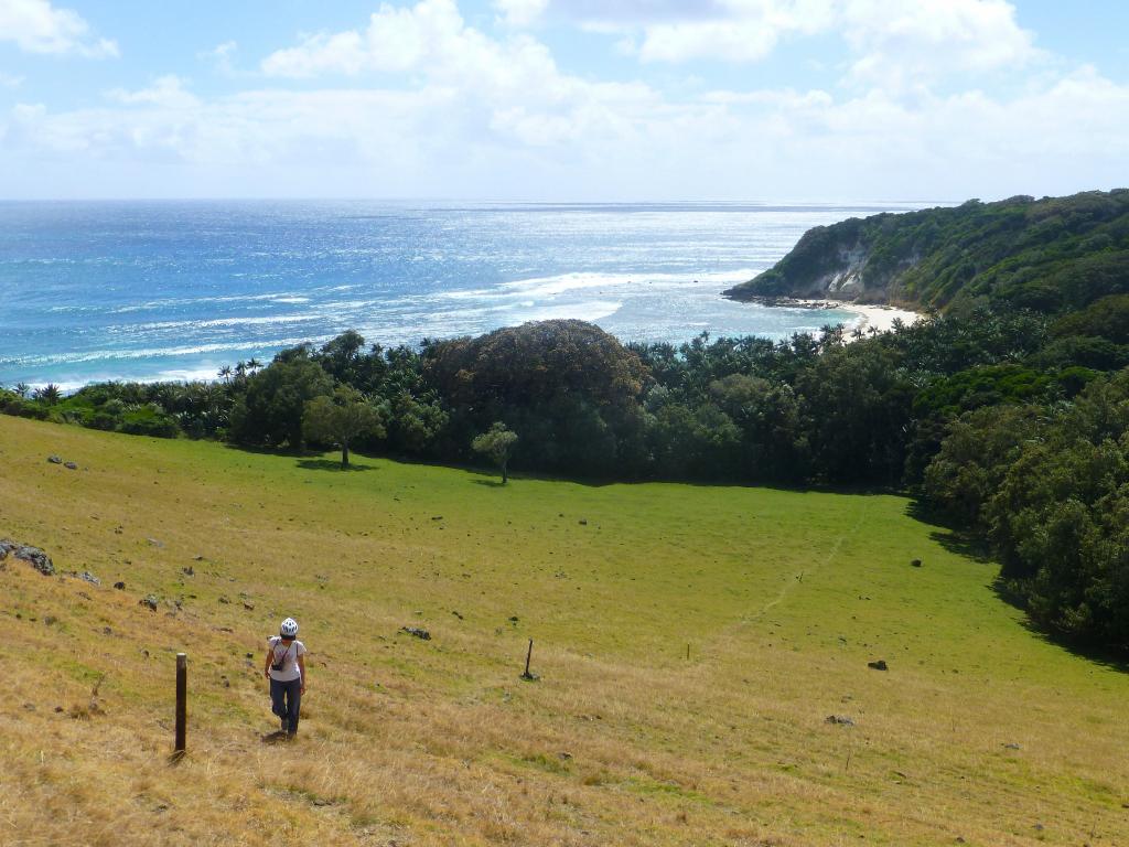 134 - Lord Howe Island