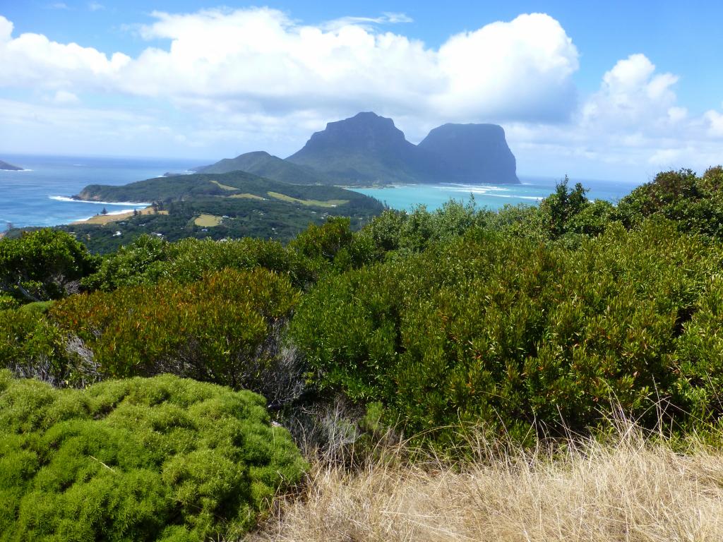 153 - Lord Howe Island