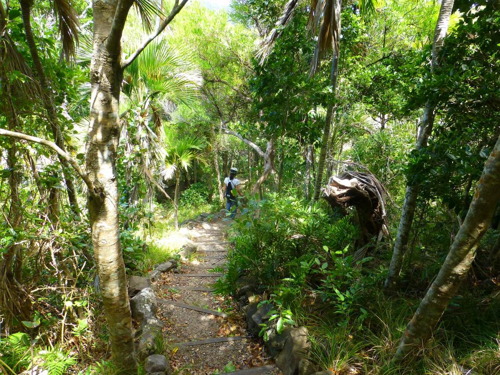 172 - Lord Howe Island