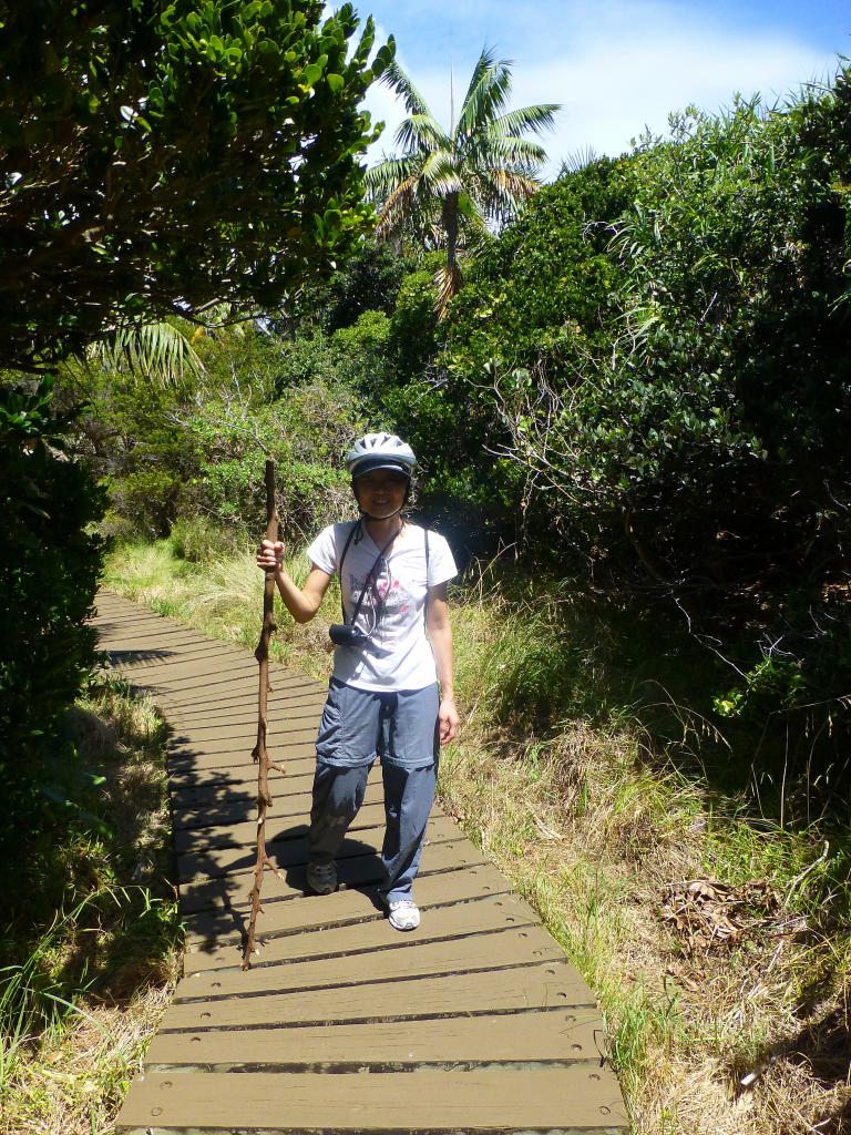 225 - Lord Howe Island