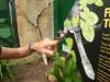 507 - Darling Harbour Zoo