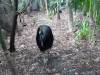530 - Darling Harbour Zoo