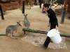 549 - Darling Harbour Zoo