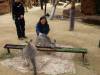 558 - Darling Harbour Zoo