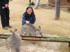 559 - Darling Harbour Zoo