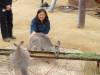 560 - Darling Harbour Zoo