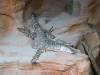 566 - Darling Harbour Zoo