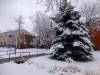 309 - Boulder