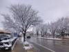 310 - Boulder