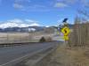 402 - Boulder to Silverton