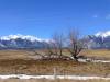 421 - Boulder to Silverton