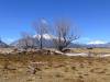 423 - Boulder to Silverton