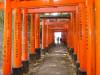1047 - Day01 Kyoto
