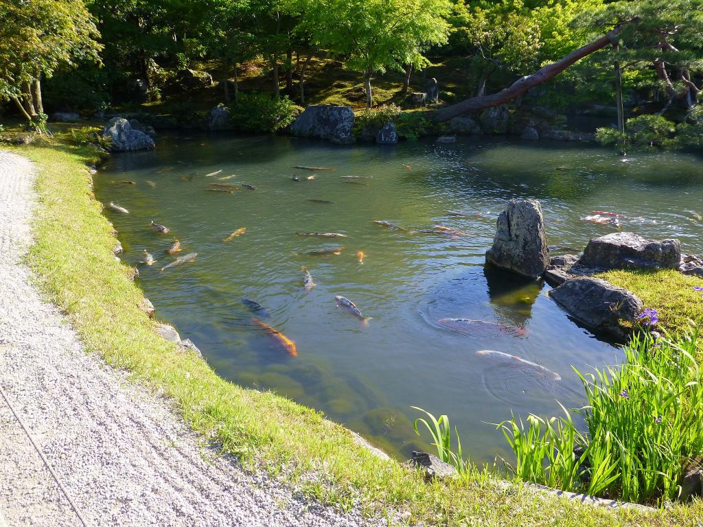 2007 - Day03 Kyoto