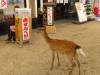 2148 - Day04 Nara