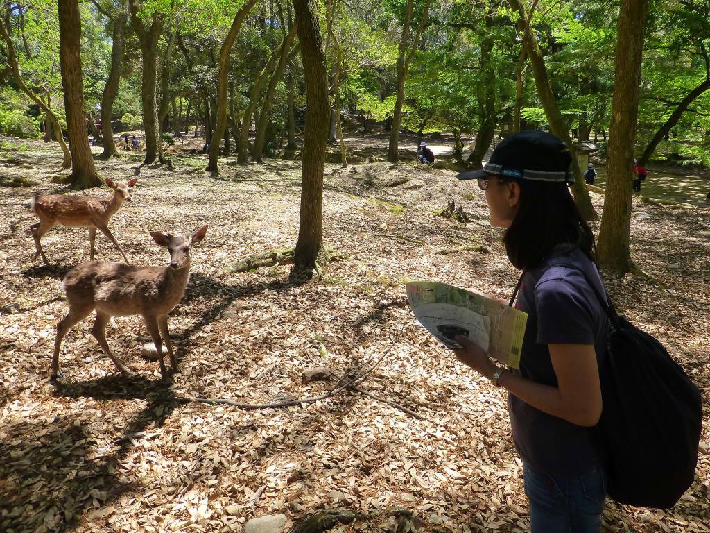 2140 - Day04 Nara