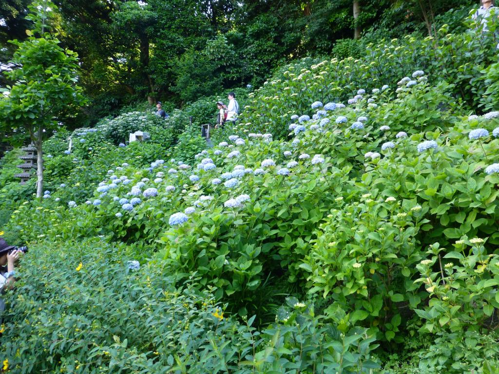 2817 - Day06 Kamakura