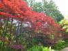 2936 - Day07 Hakone