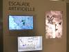 1135 - 20130618 Chamonix