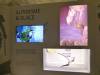 1136 - 20130618 Chamonix