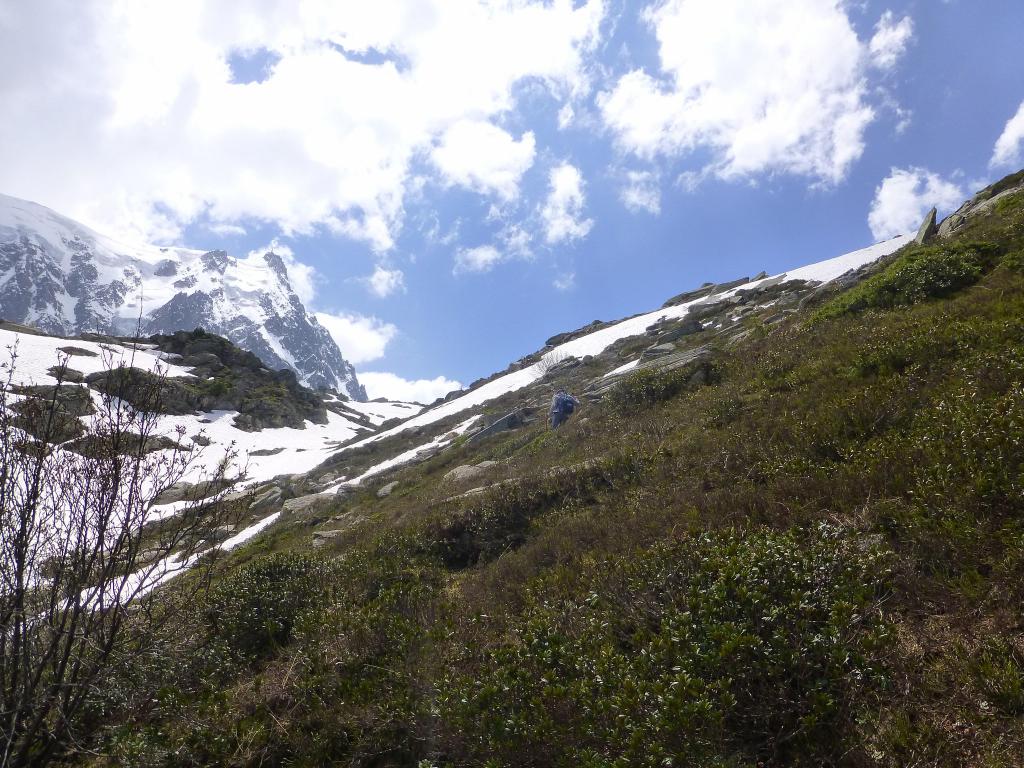 1223 - 20130618 Chamonix