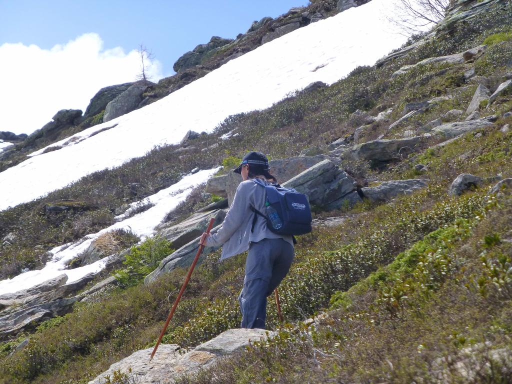 1224 - 20130618 Chamonix